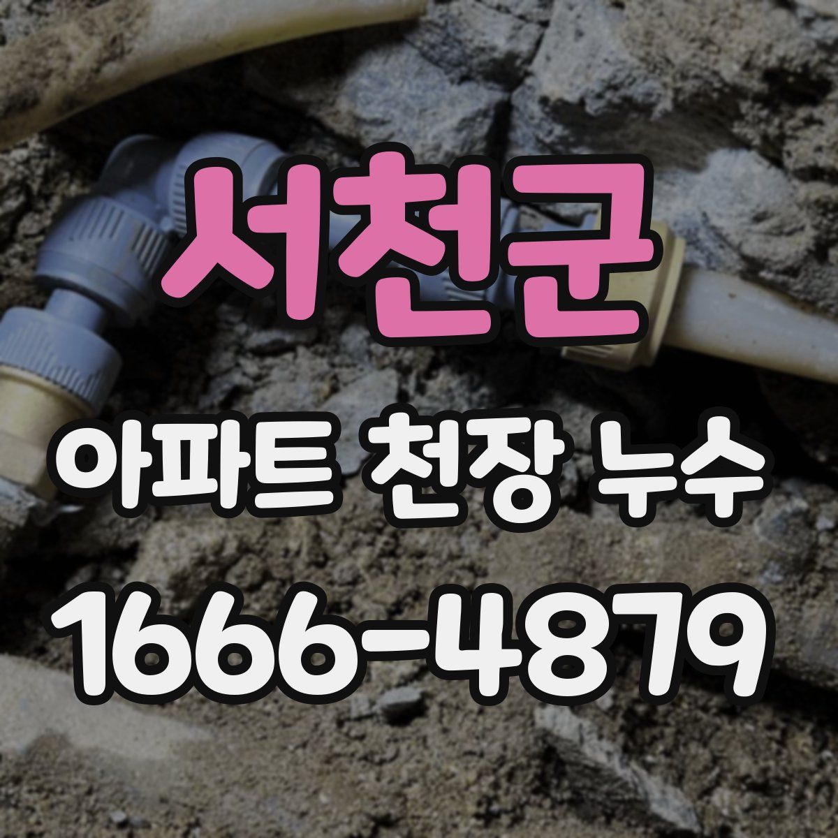 서천군 아파트 천장 누수