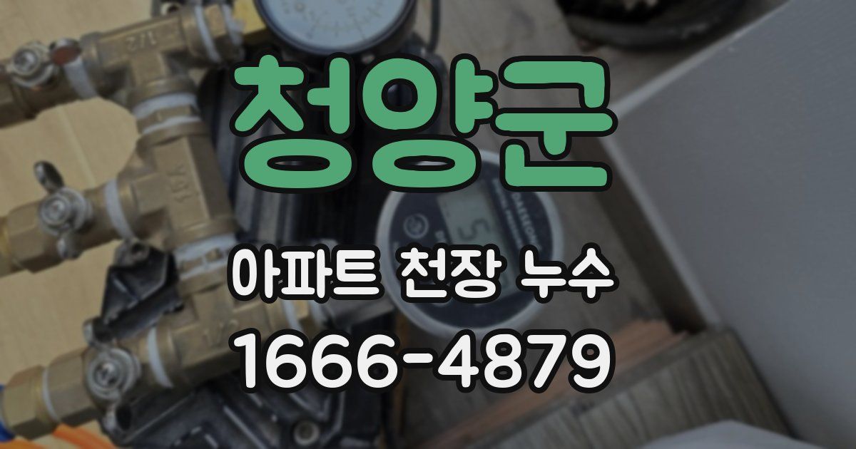 청양군 아파트 천장 누수
