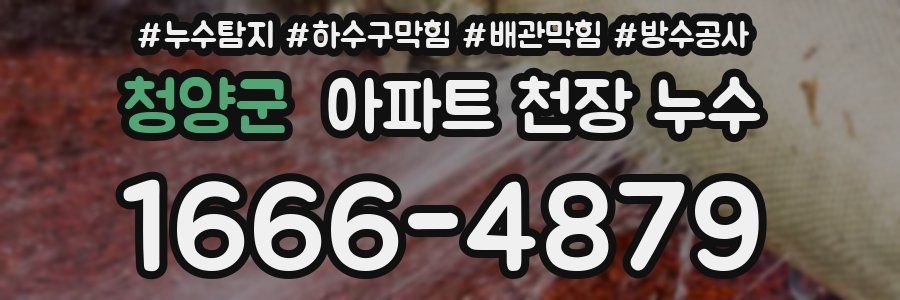 청양군 아파트 천장 누수