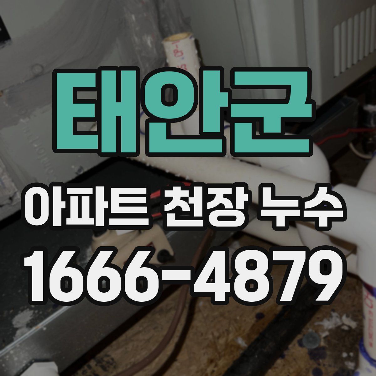 태안군 아파트 천장 누수
