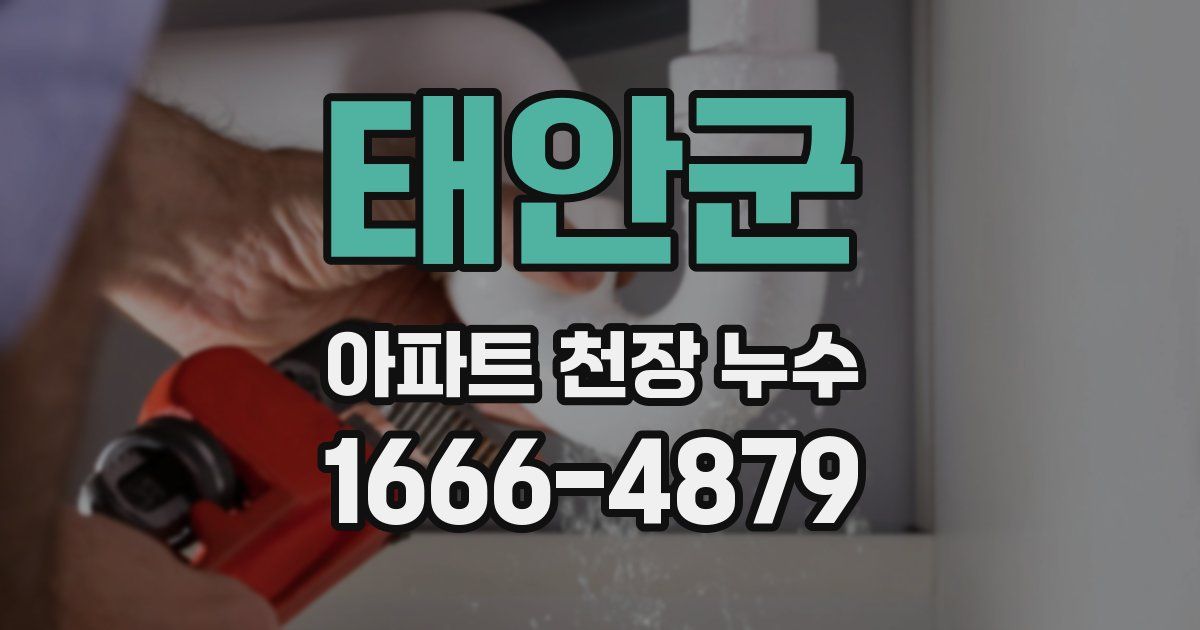 태안군 아파트 천장 누수