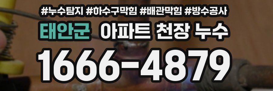 태안군 아파트 천장 누수