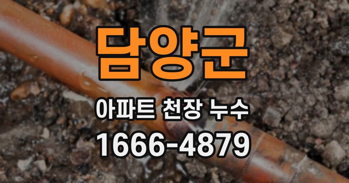 담양군 아파트 천장 누수