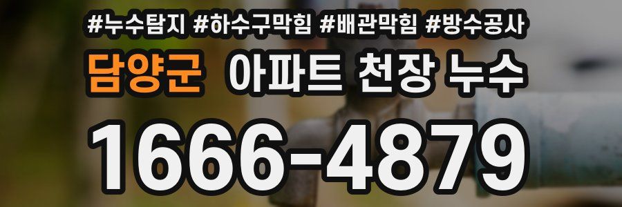 담양군 아파트 천장 누수