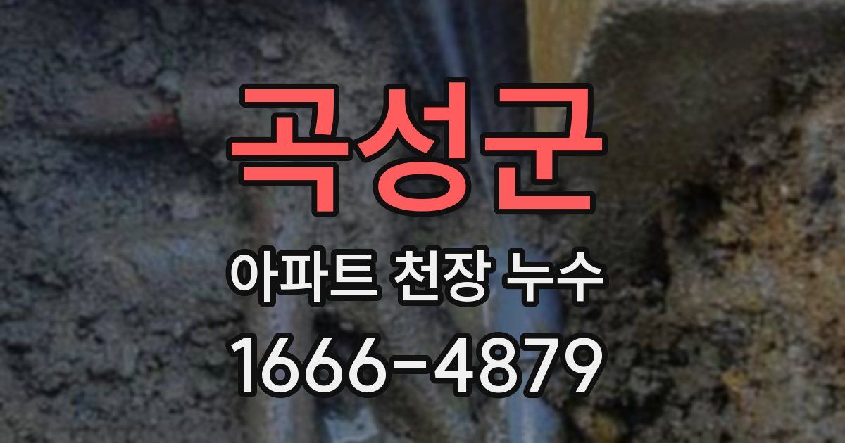 곡성군 아파트 천장 누수