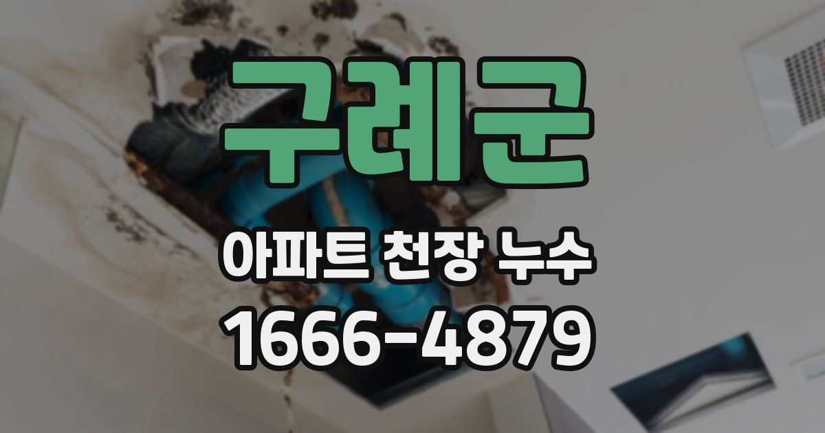 구례군 아파트 천장 누수