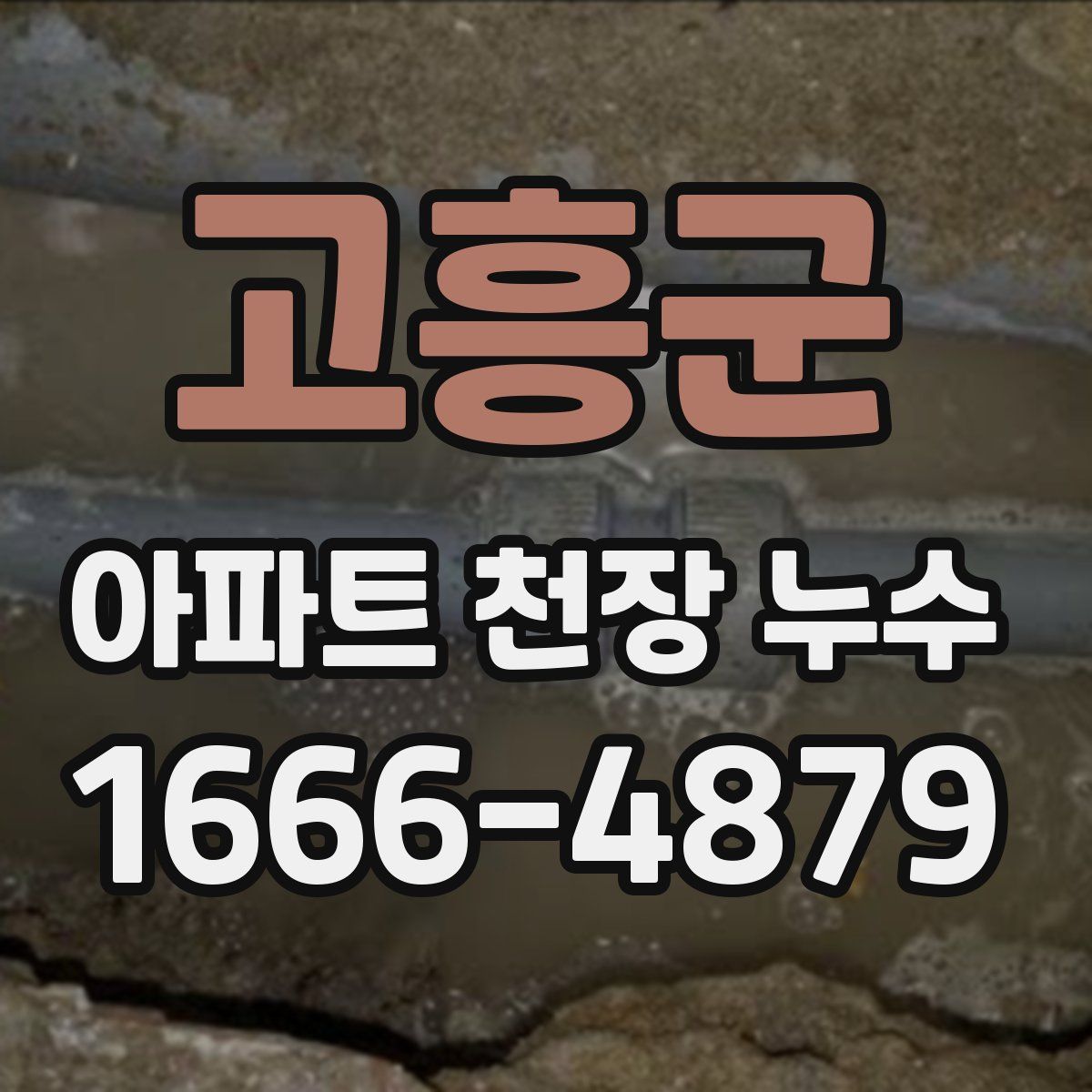 고흥군 아파트 천장 누수