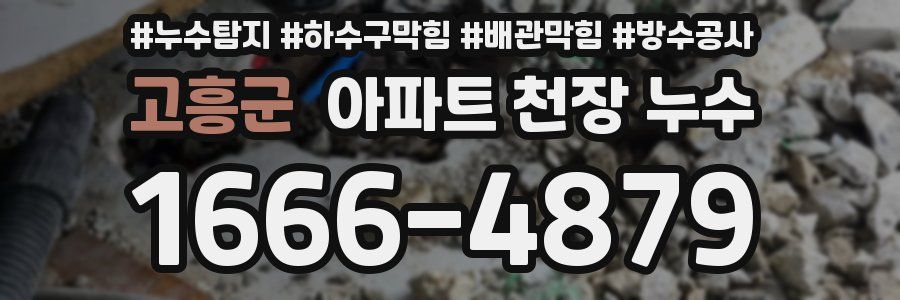 고흥군 아파트 천장 누수