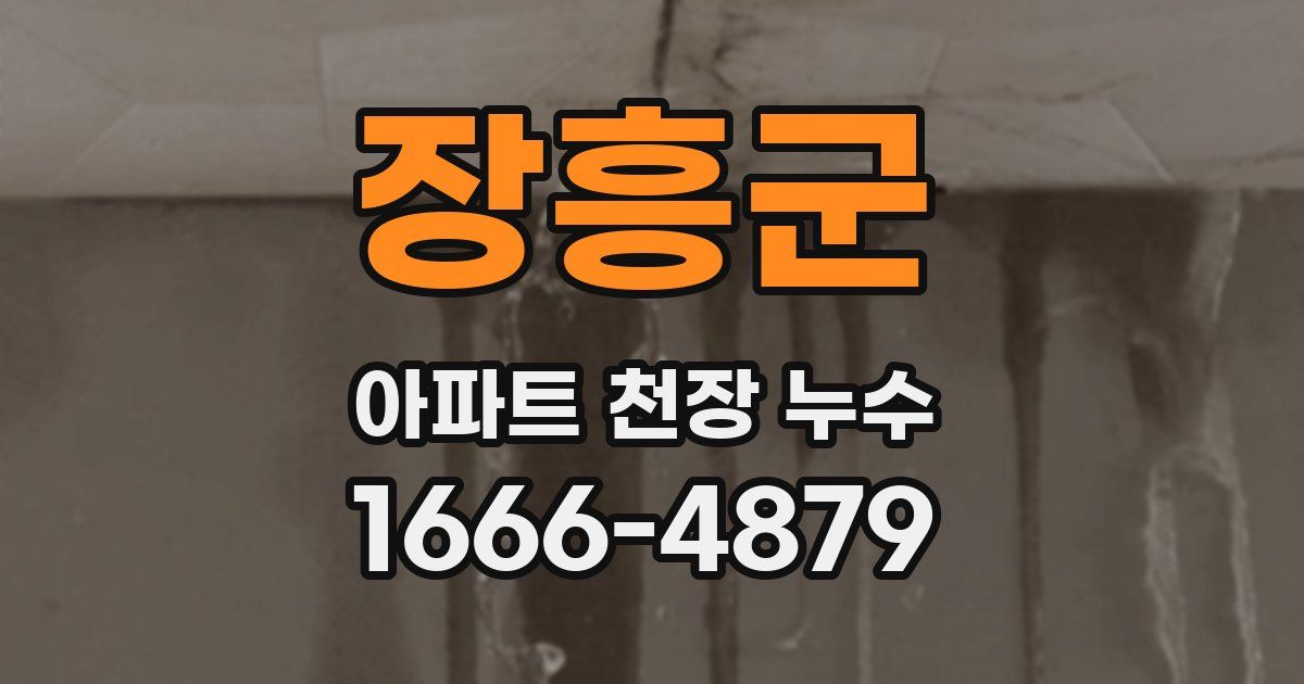 장흥군 아파트 천장 누수
