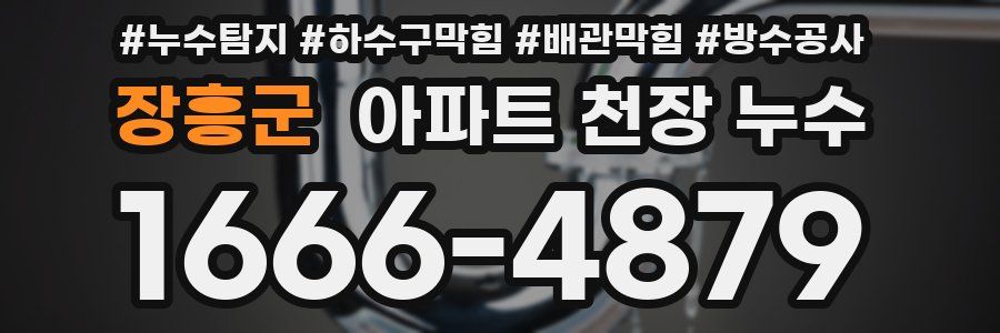 장흥군 아파트 천장 누수