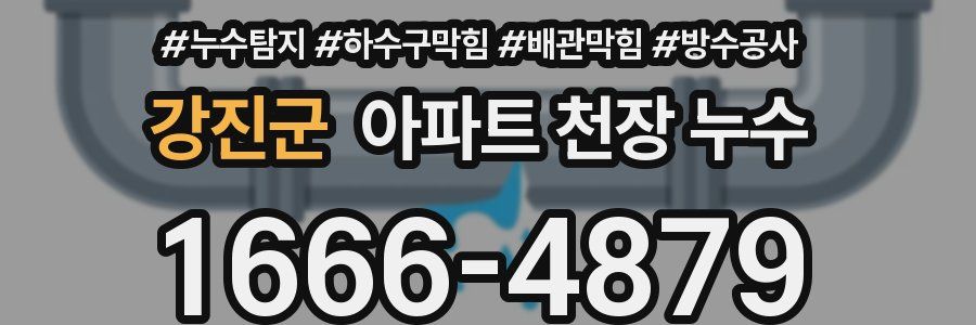 강진군 아파트 천장 누수