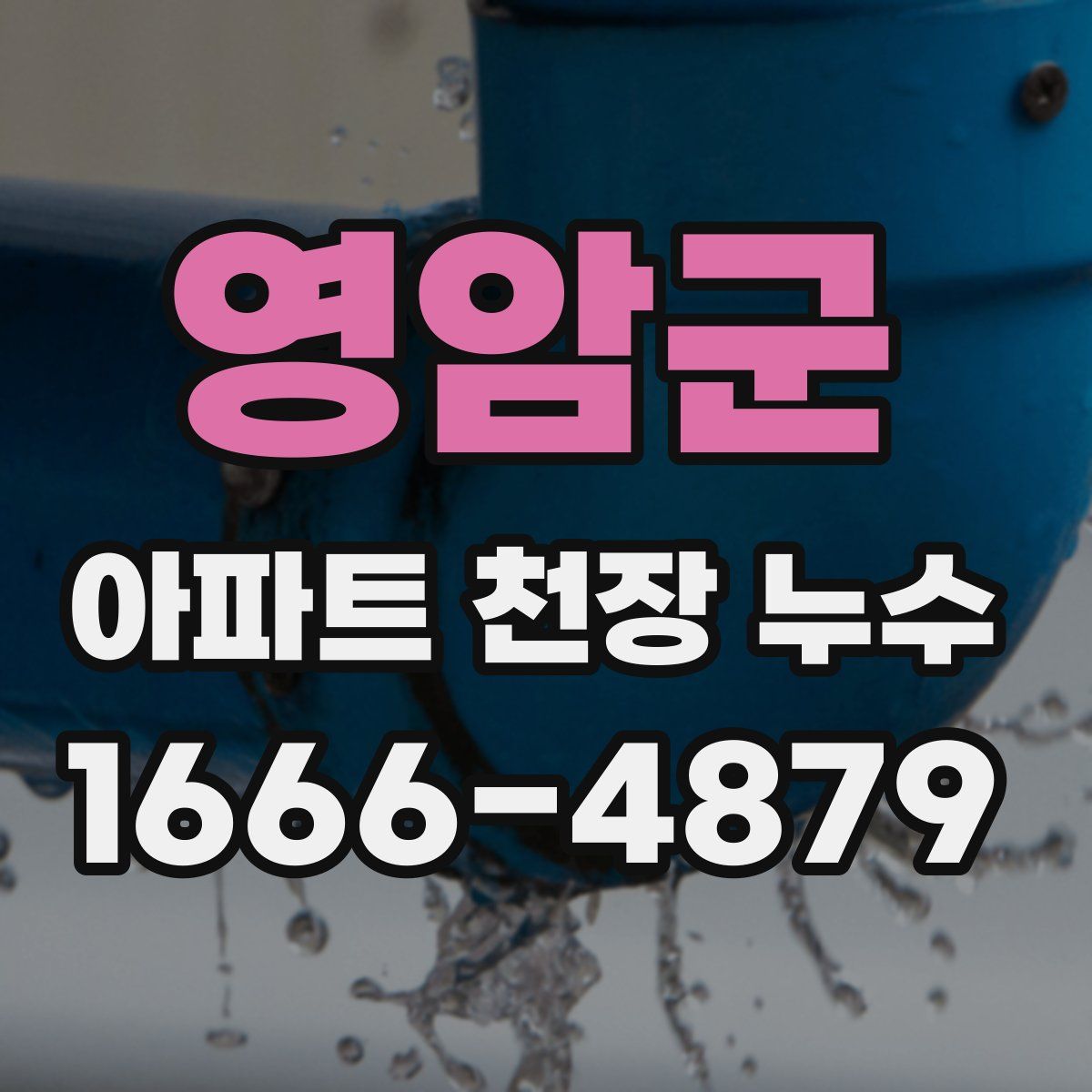 영암군 아파트 천장 누수