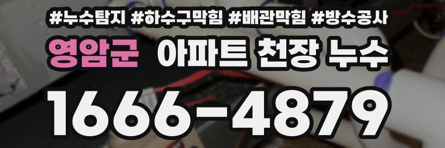 영암군 아파트 천장 누수