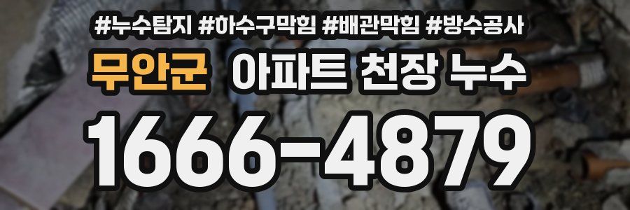 무안군 아파트 천장 누수