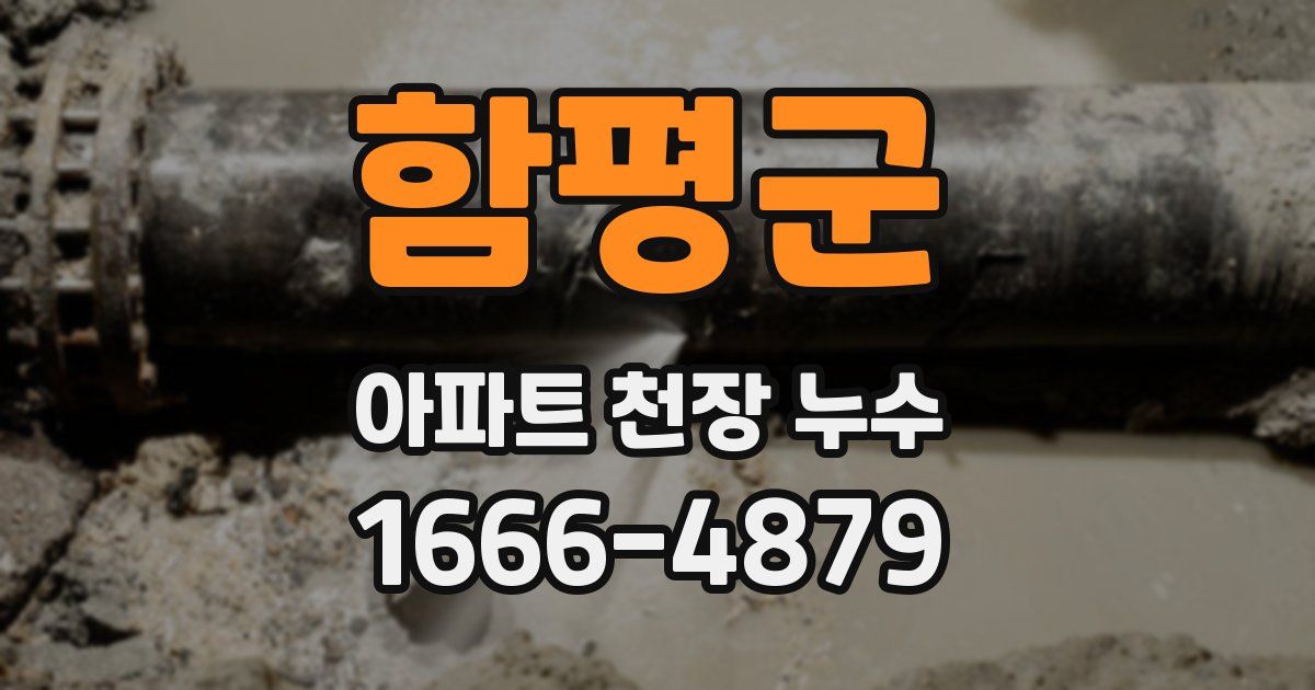 함평군 아파트 천장 누수