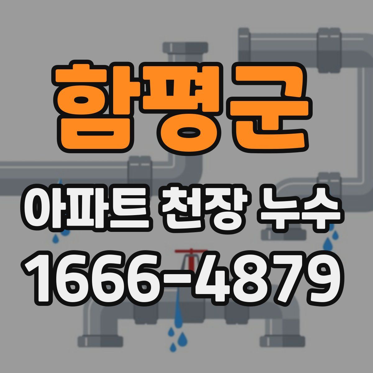 함평군 아파트 천장 누수
