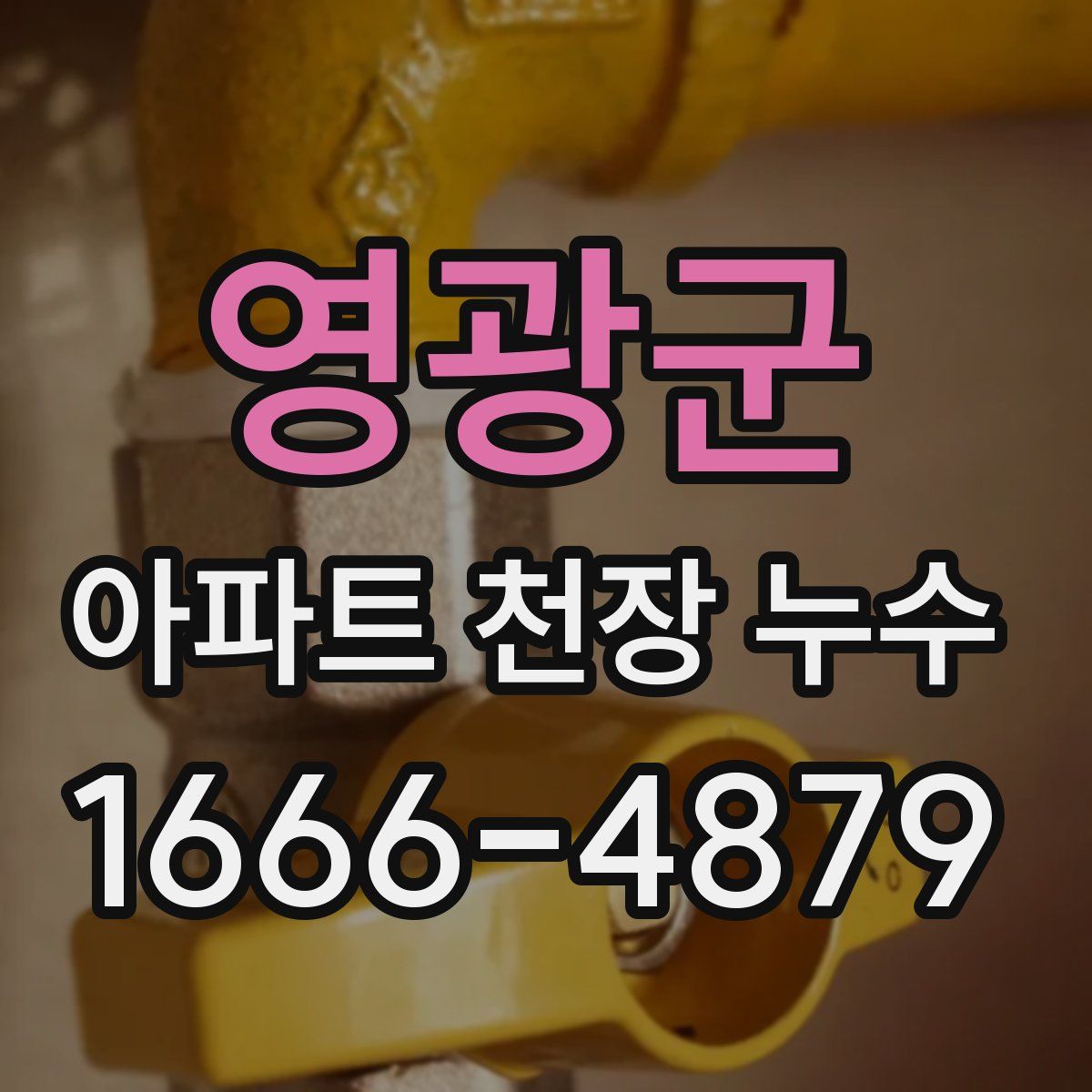 영광군 아파트 천장 누수