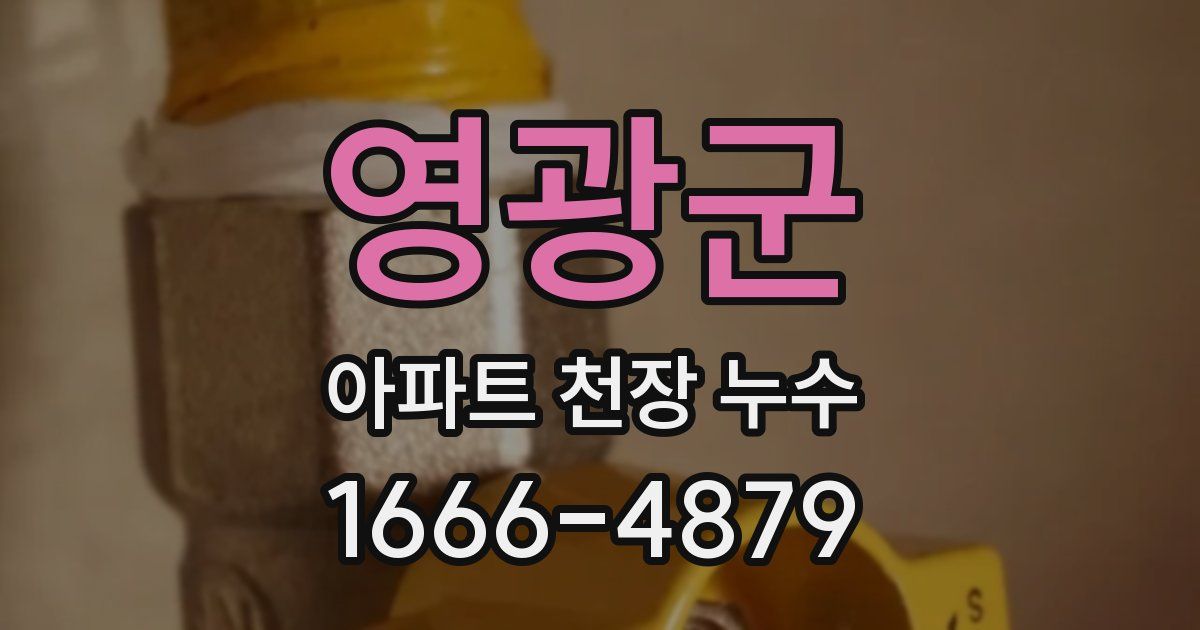 영광군 아파트 천장 누수