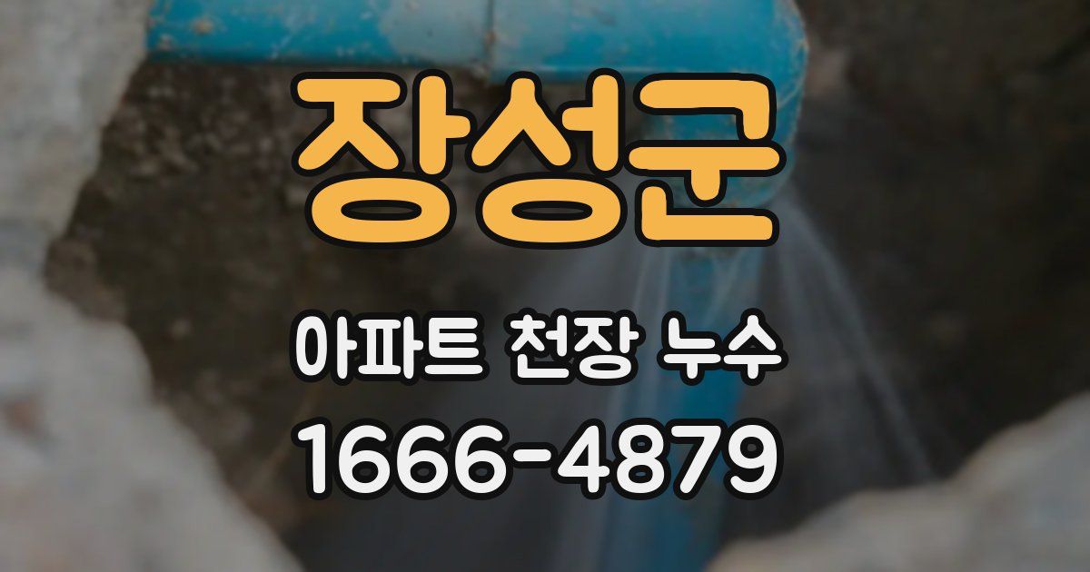 장성군 아파트 천장 누수