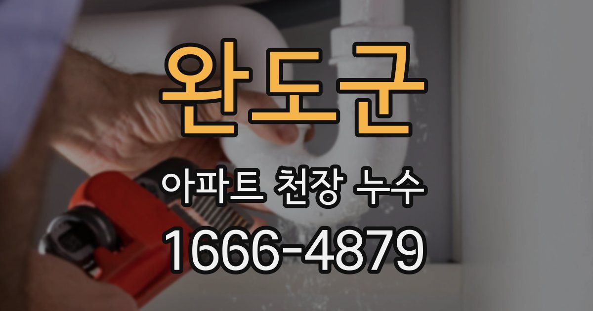완도군 아파트 천장 누수