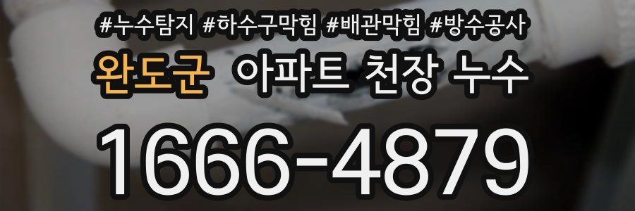 완도군 아파트 천장 누수