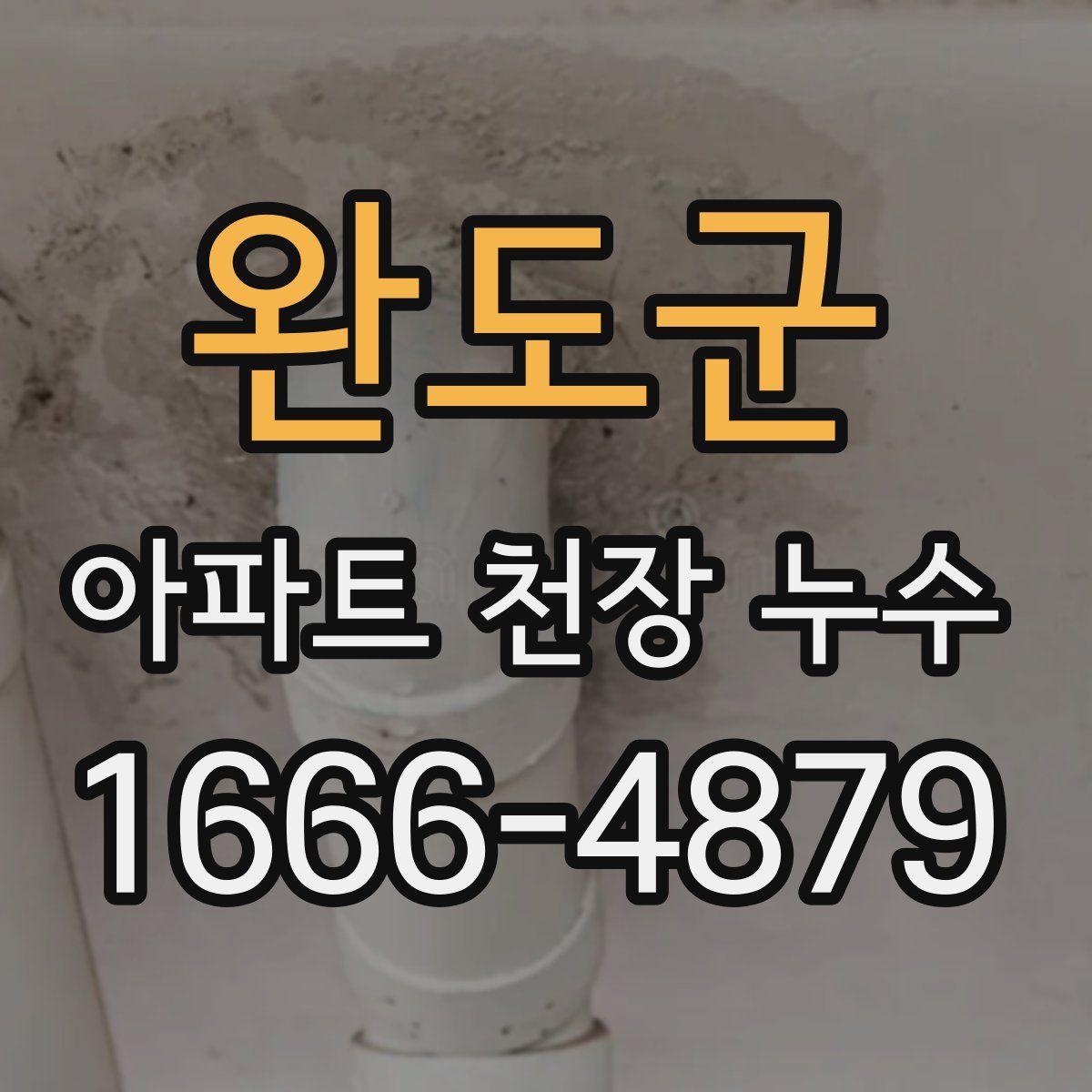 완도군 아파트 천장 누수