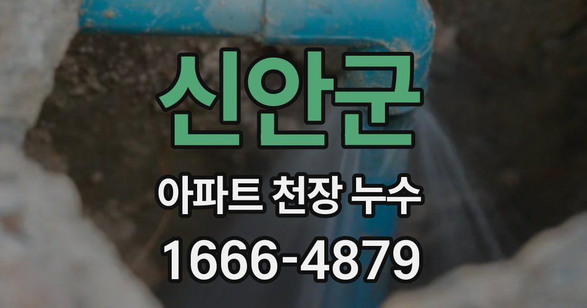 신안군 아파트 천장 누수