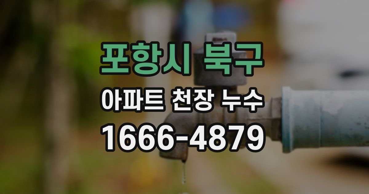 포항시 북구 아파트 천장 누수