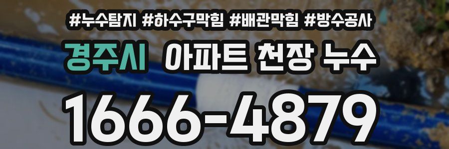 경주시 아파트 천장 누수