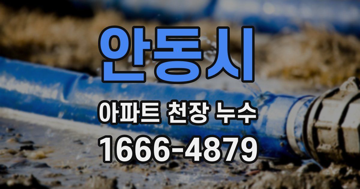 안동시 아파트 천장 누수