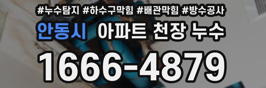 안동시 아파트 천장 누수