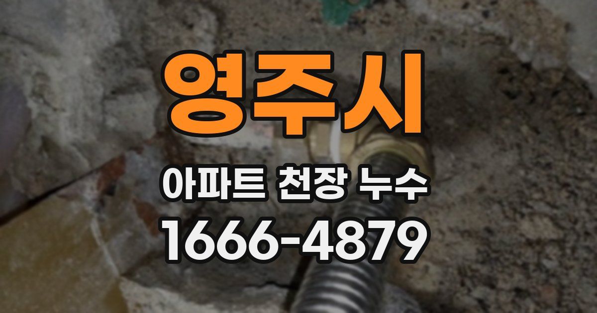 영주시 아파트 천장 누수