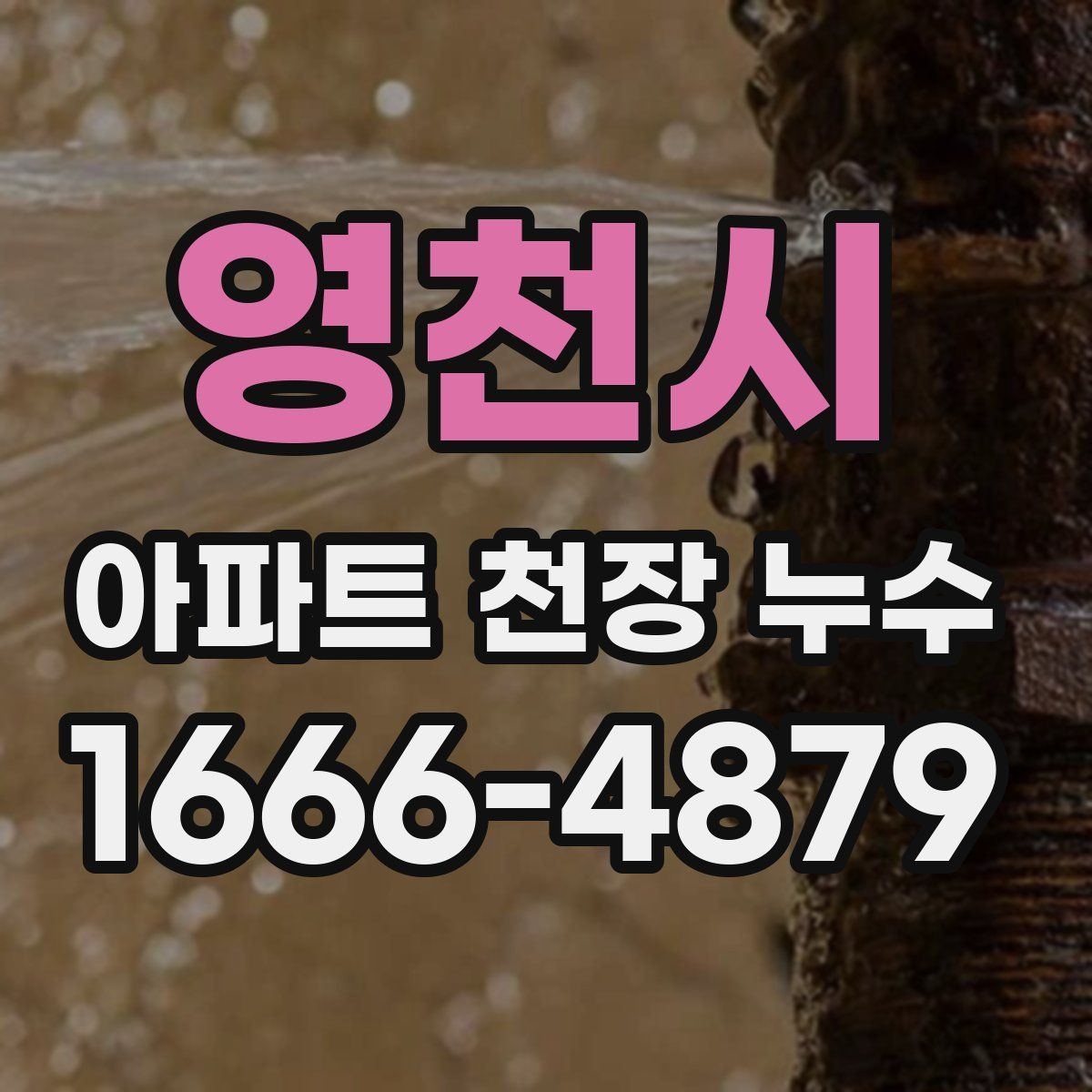 영천시 아파트 천장 누수