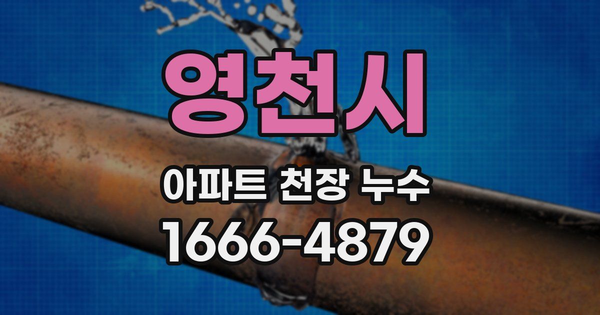영천시 아파트 천장 누수