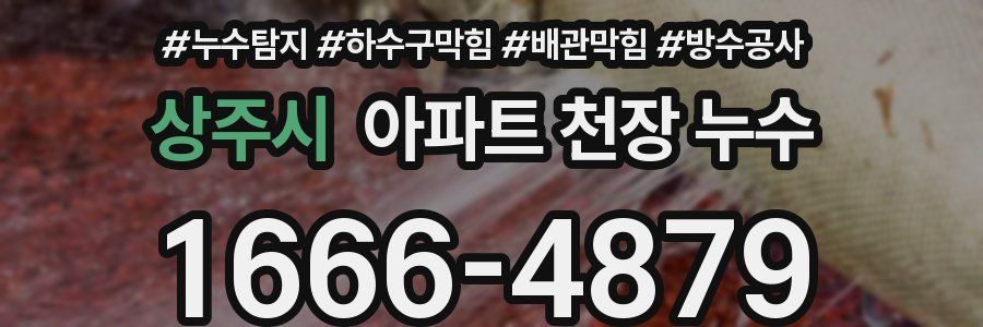상주시 아파트 천장 누수