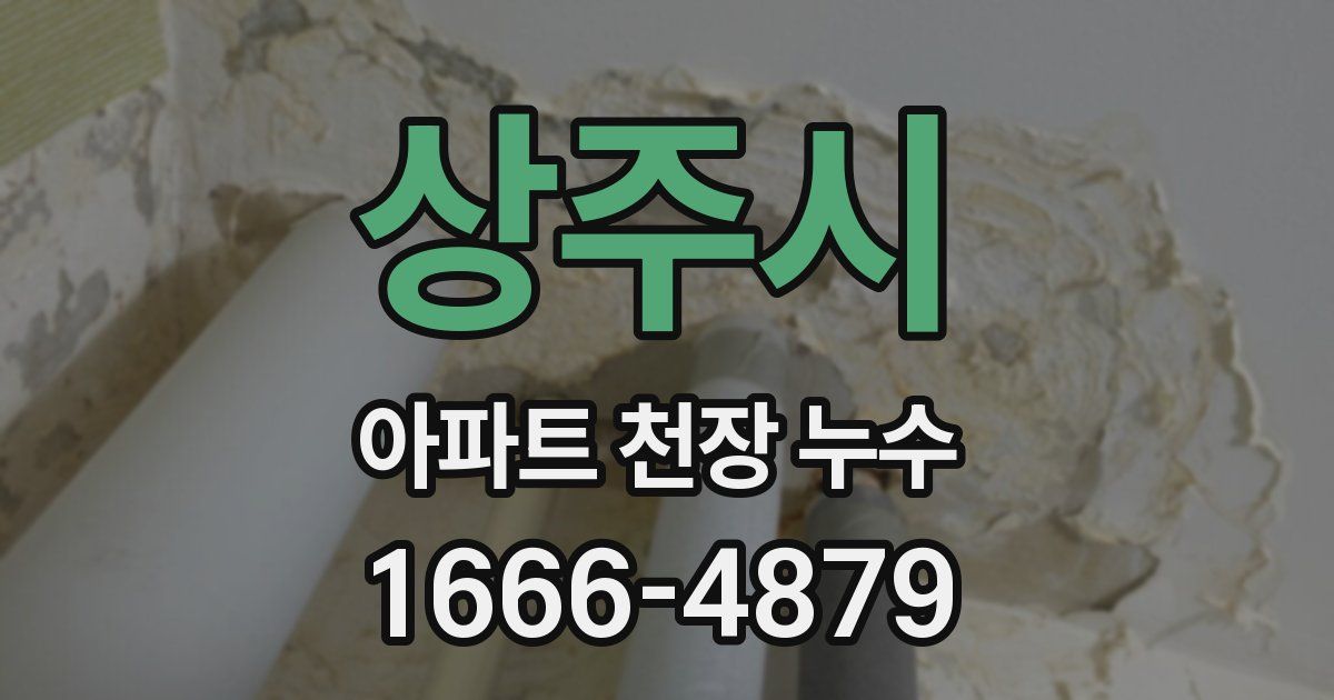 상주시 아파트 천장 누수