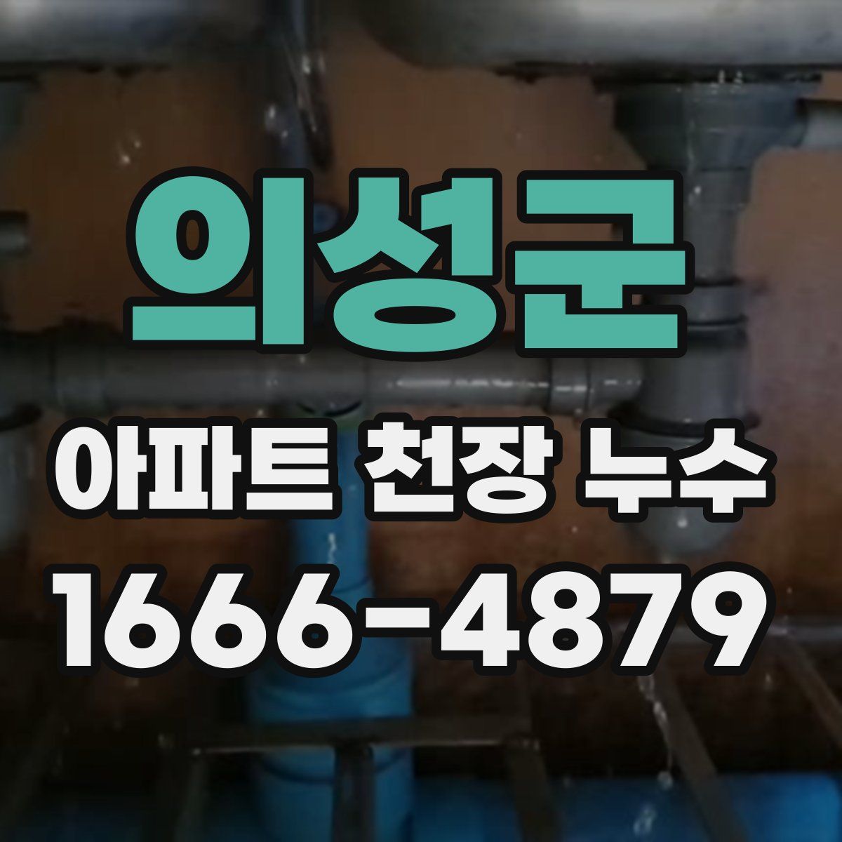 의성군 아파트 천장 누수