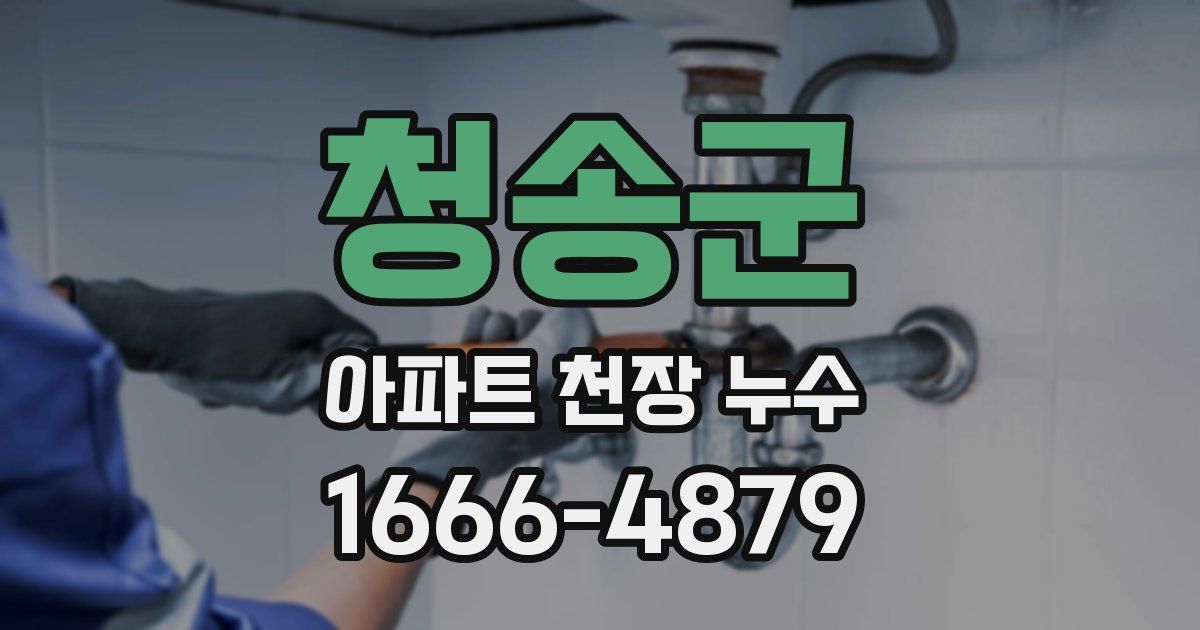 청송군 아파트 천장 누수