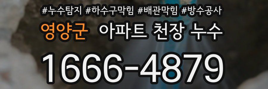 영양군 아파트 천장 누수
