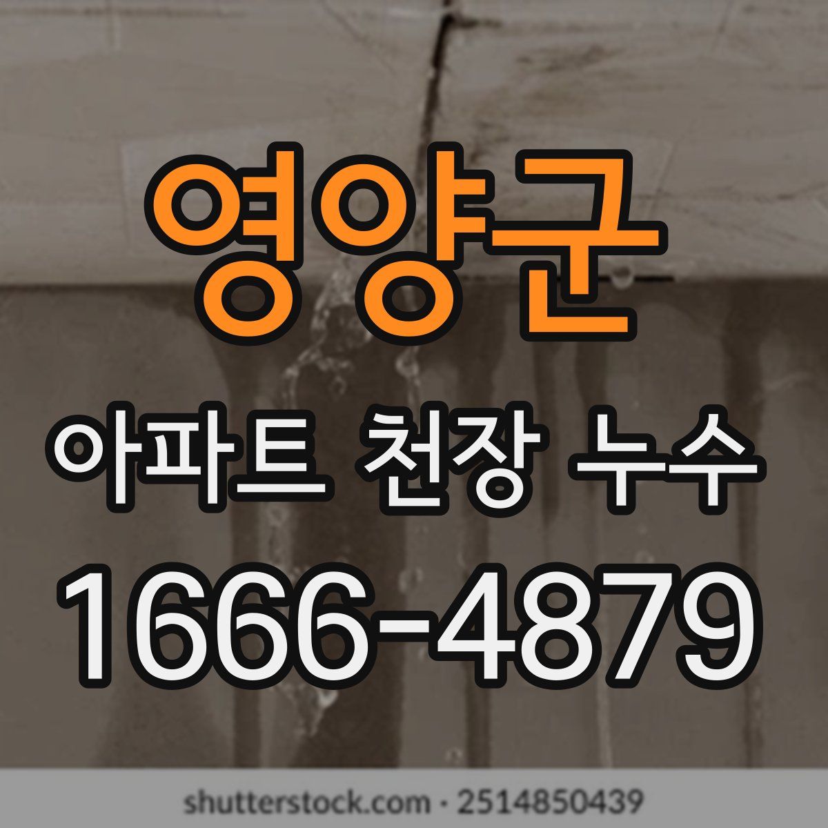영양군 아파트 천장 누수