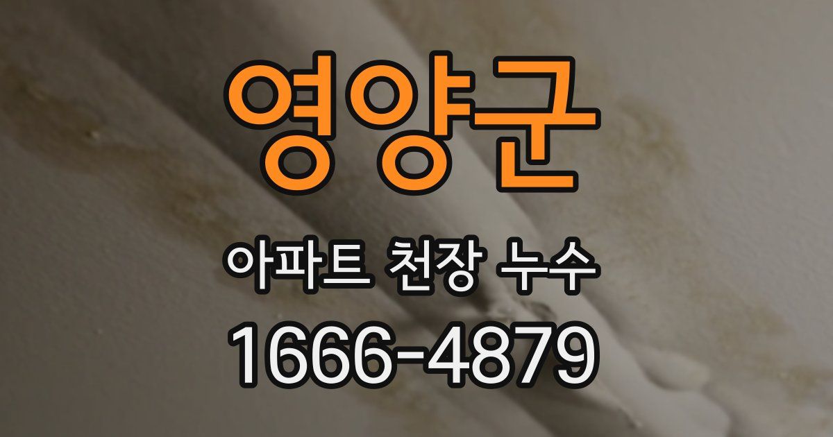 영양군 아파트 천장 누수