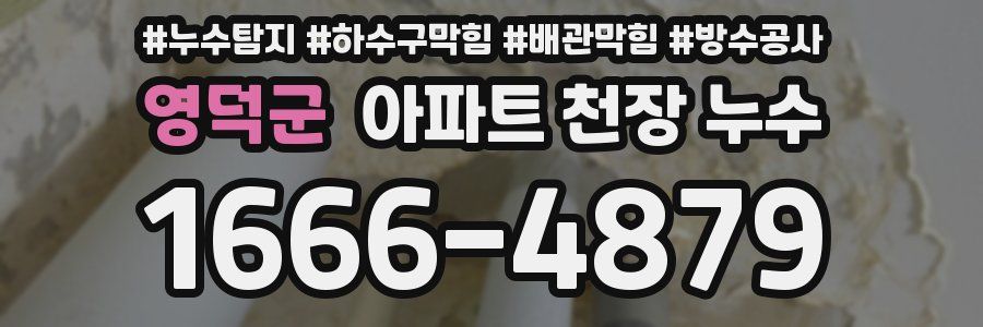 영덕군 아파트 천장 누수