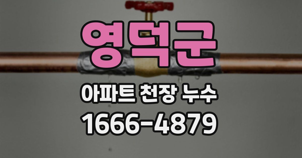 영덕군 아파트 천장 누수