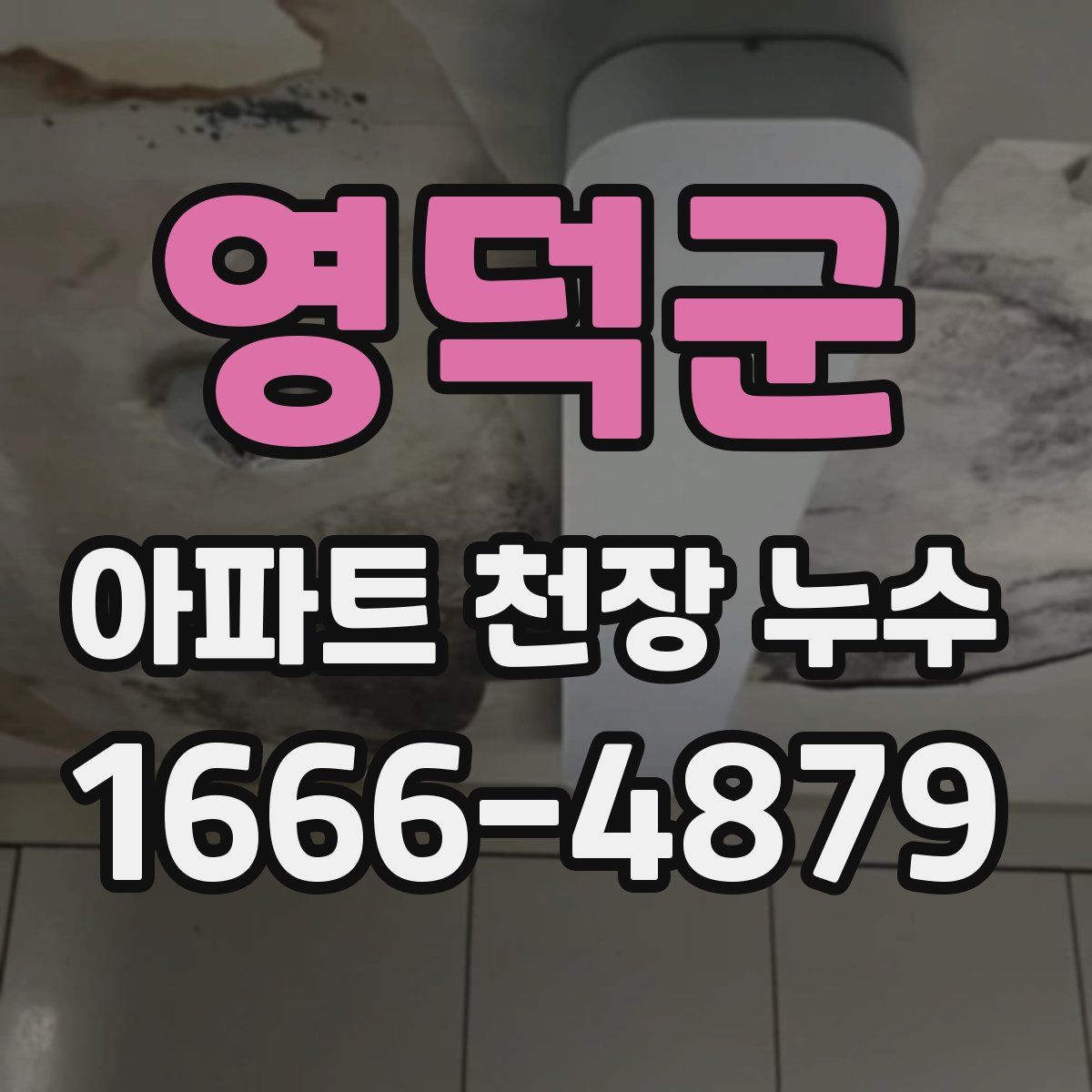 영덕군 아파트 천장 누수