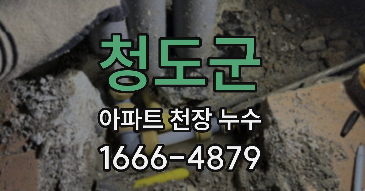 청도군 아파트 천장 누수
