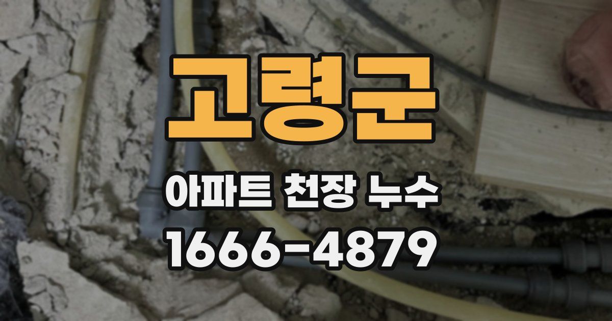 고령군 아파트 천장 누수