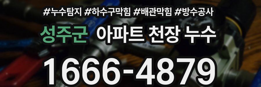성주군 아파트 천장 누수