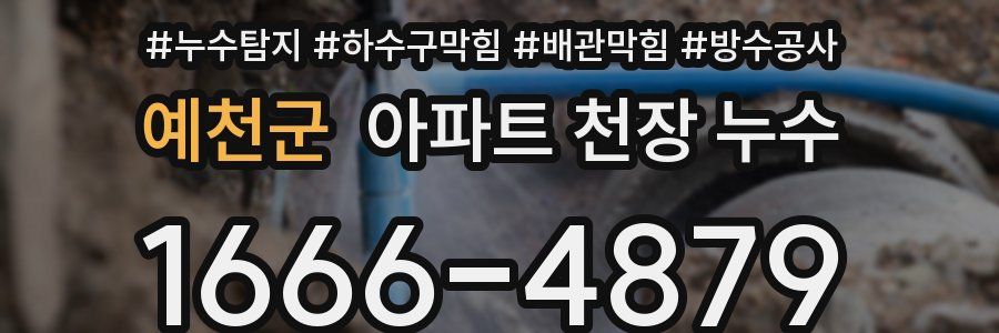 예천군 아파트 천장 누수