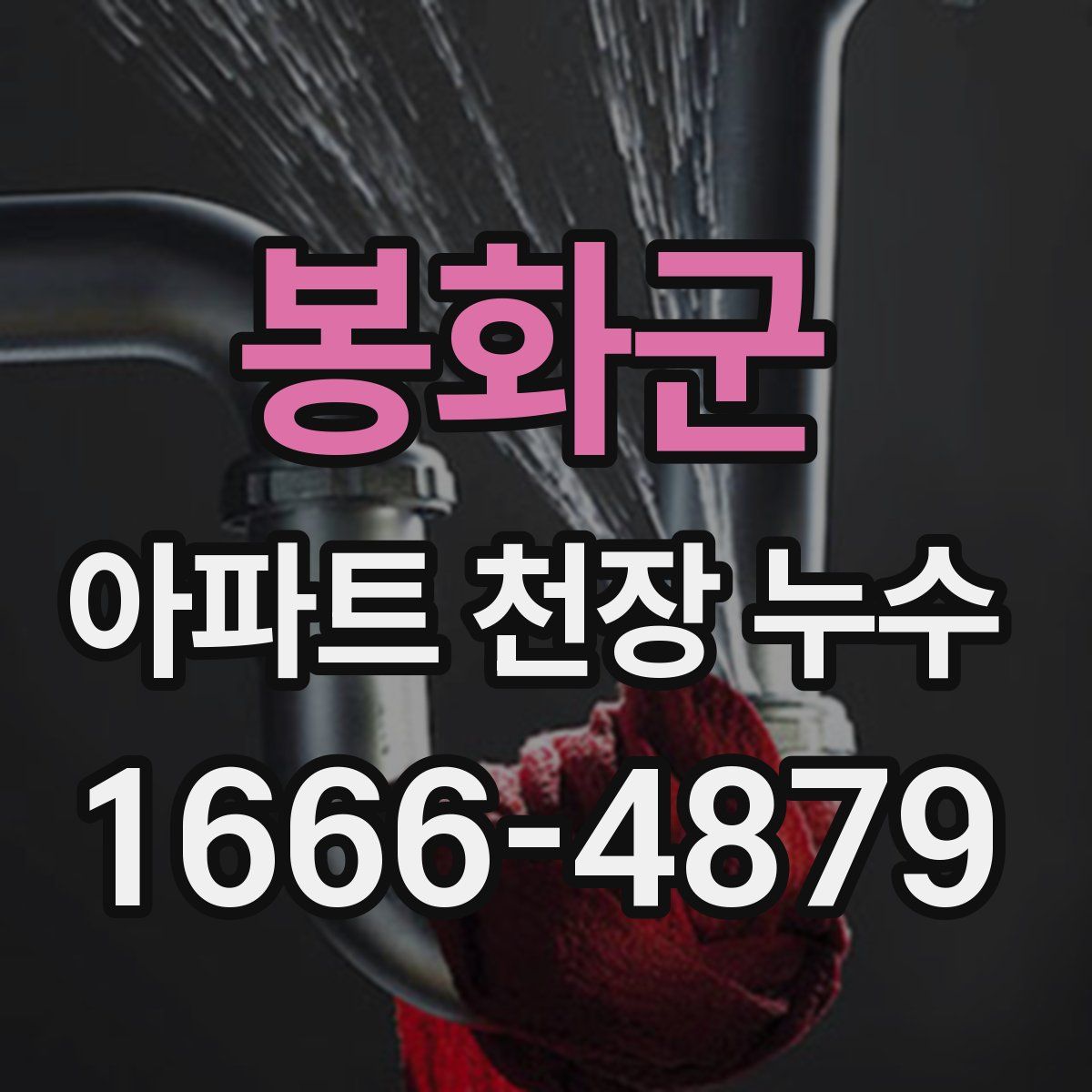 봉화군 아파트 천장 누수