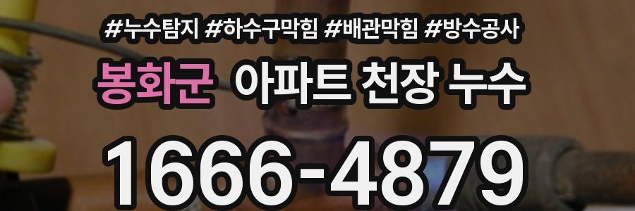 봉화군 아파트 천장 누수